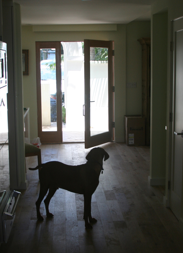 1st Floor and Kitchen Remodel, ENR architects, Malibu, CA 90265 - Entry